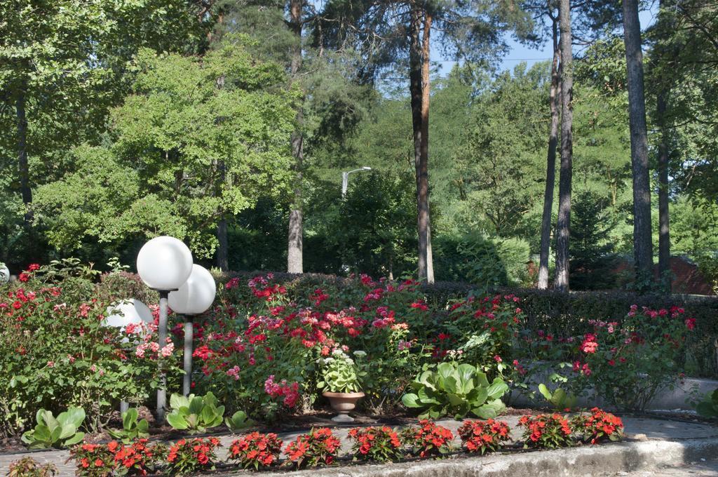 Bed and Breakfast Bed&Garden Cesate Exterior foto
